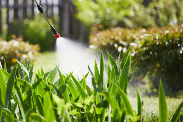 24/7 Emergency Ant Control experts in Lancaster, CA